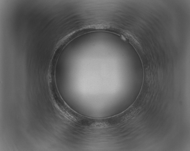 X0000073440536200608181215