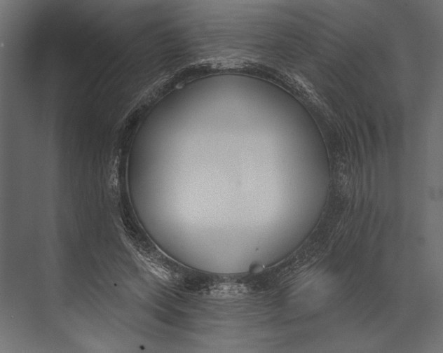 X0000073440543200608181215