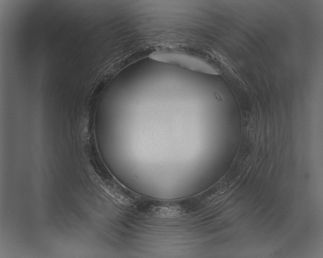 X0000073440548200608181215