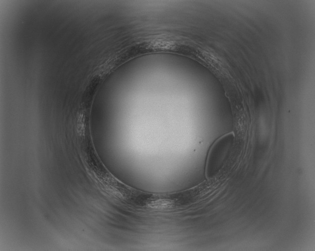 X0000073440551200608181215