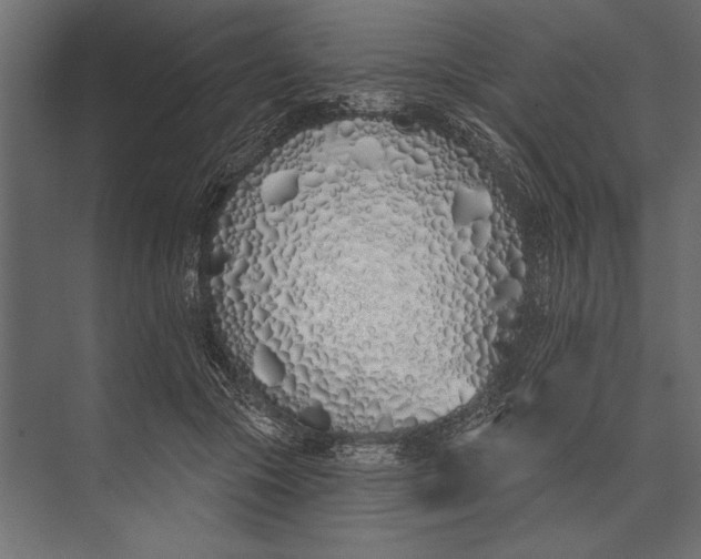 X0000073440553200608181215