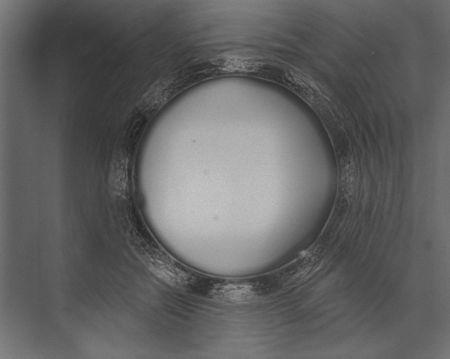 X0000073440554200608181215