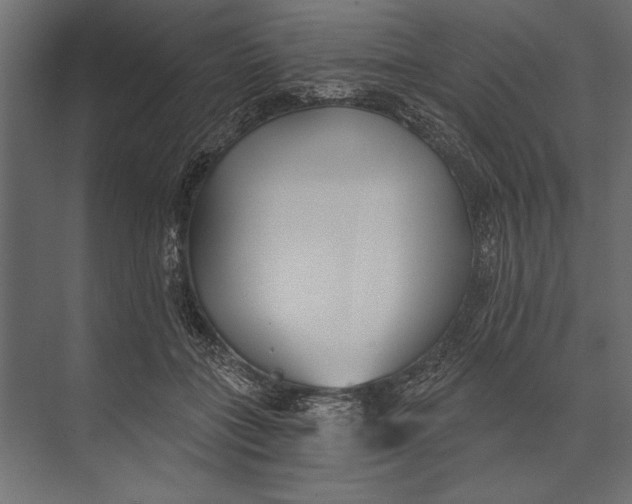 X0000073440555200608181215