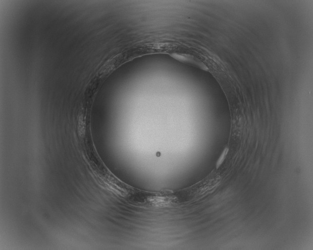 X0000073440558200608181215