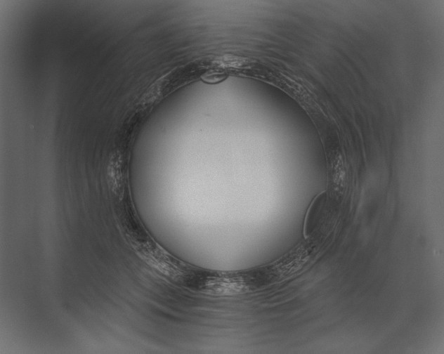 X0000073440559200608181215