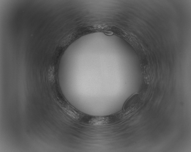 X0000073440563200608181216