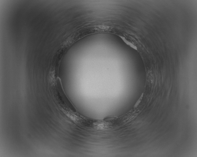X0000073440564200608181216