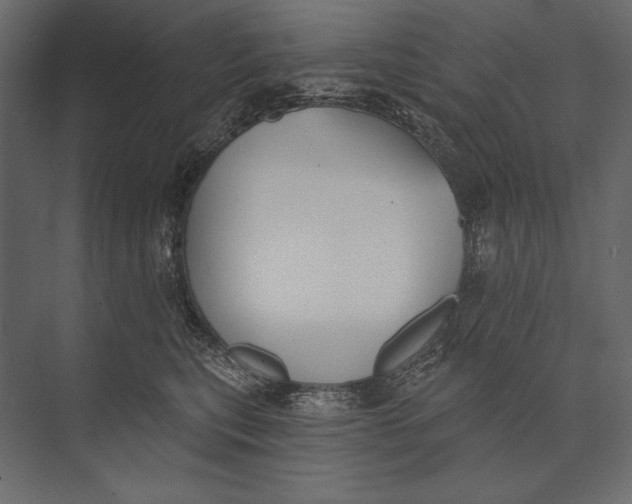 X0000073440567200608181216