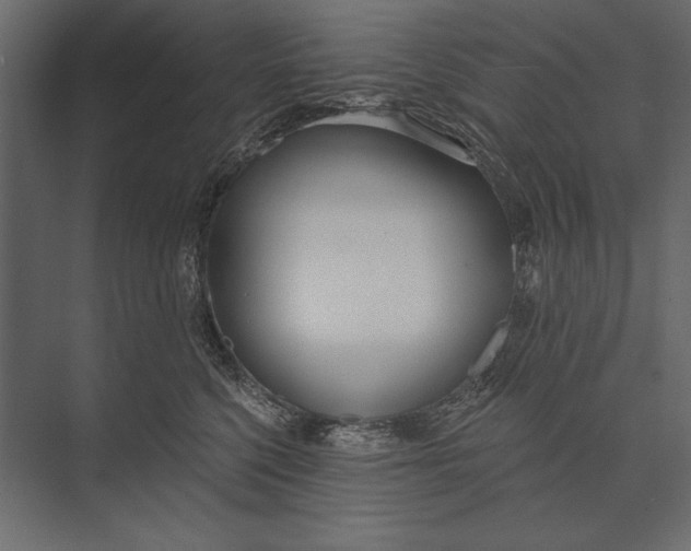 X0000073440568200608181216