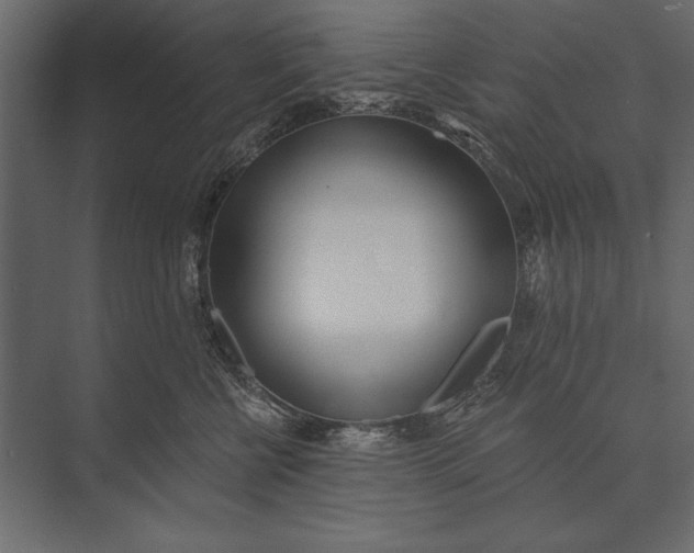 X0000073440570200608181216