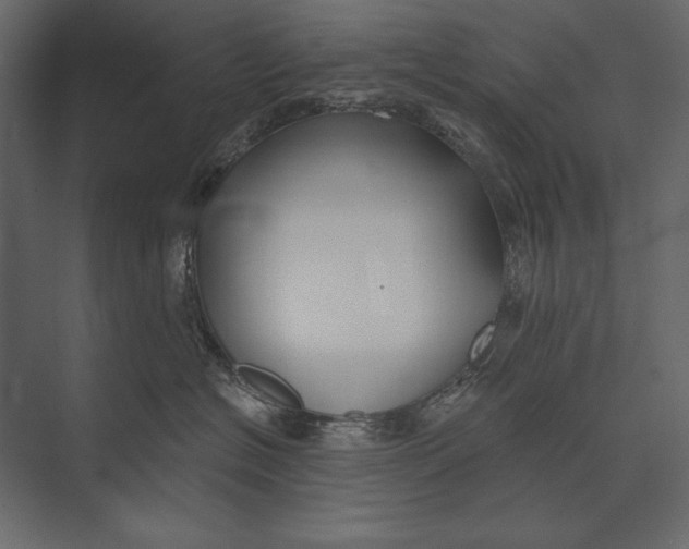X0000073440574200608181216