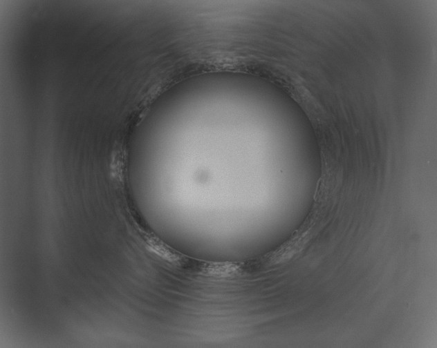 X0000073440576200608181216