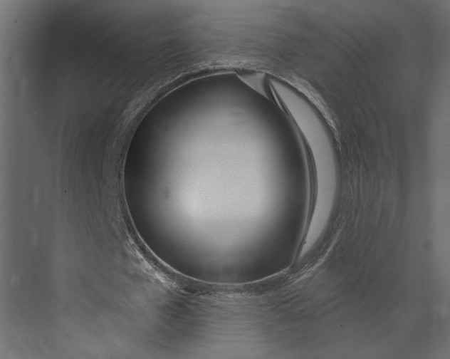 X0000073440577200608181215