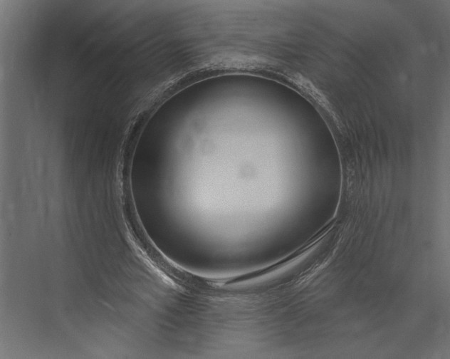 X0000073440581200608181215