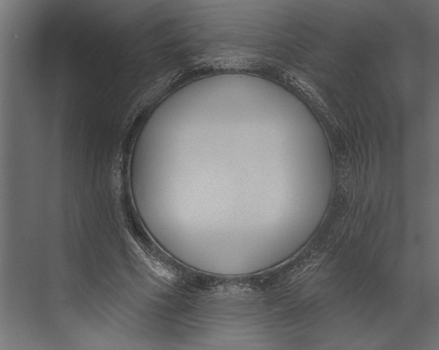 X0000073440586200608181215