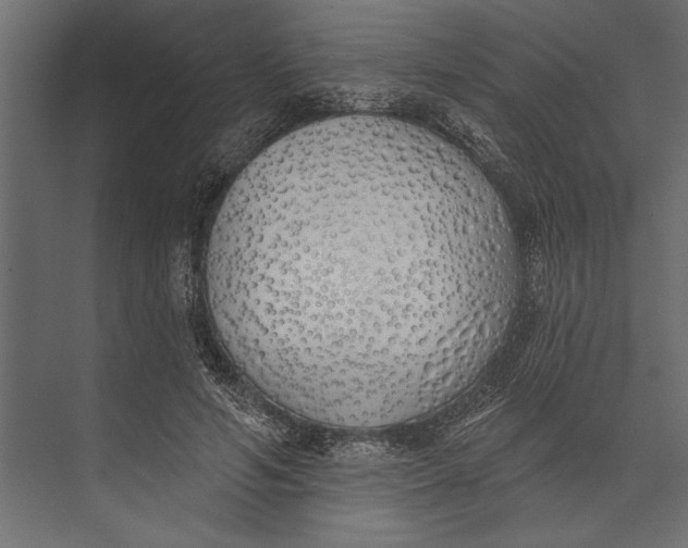 X0000073440594200608181215