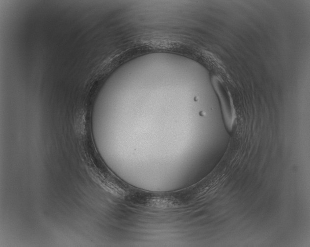 X0000073440596200608181215