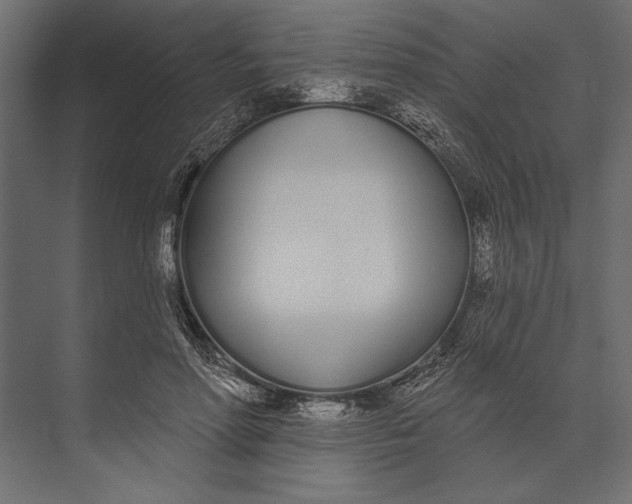 X0000073440598200608181215