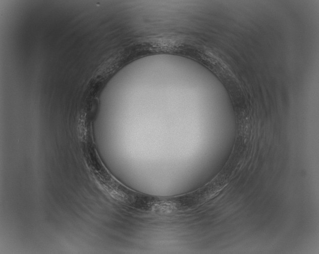 X0000073440599200608181215