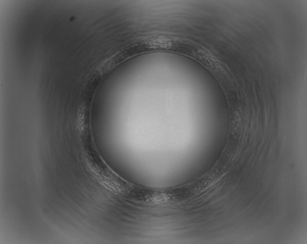 X0000073440600200608181215