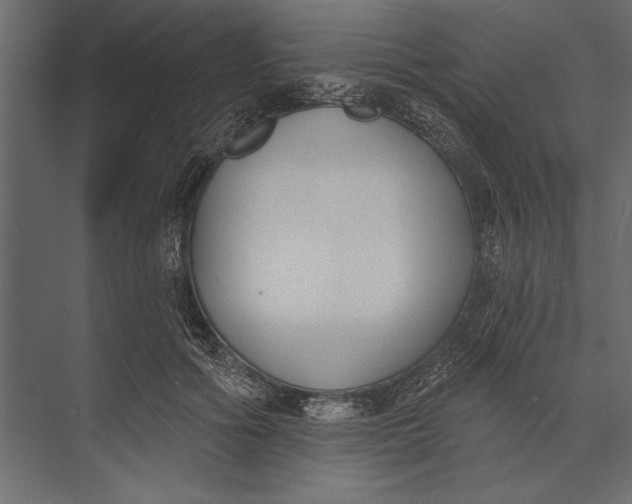 X0000073440602200608181215