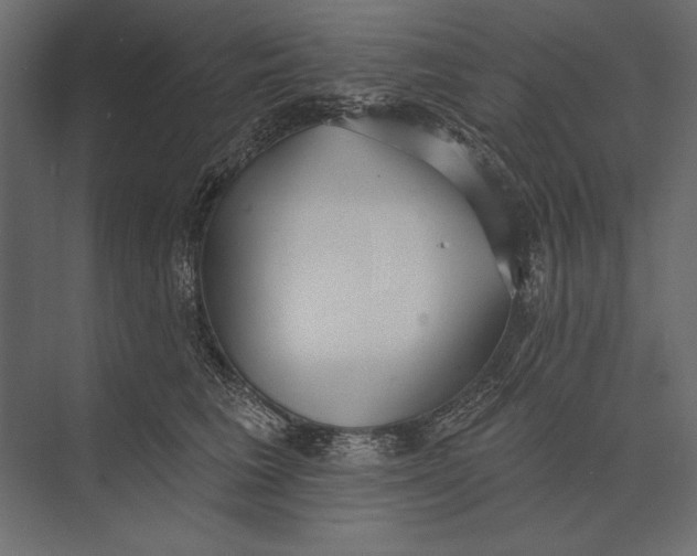 X0000073440613200608181214