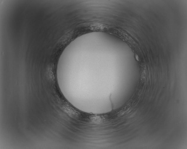 X0000073440616200608181214