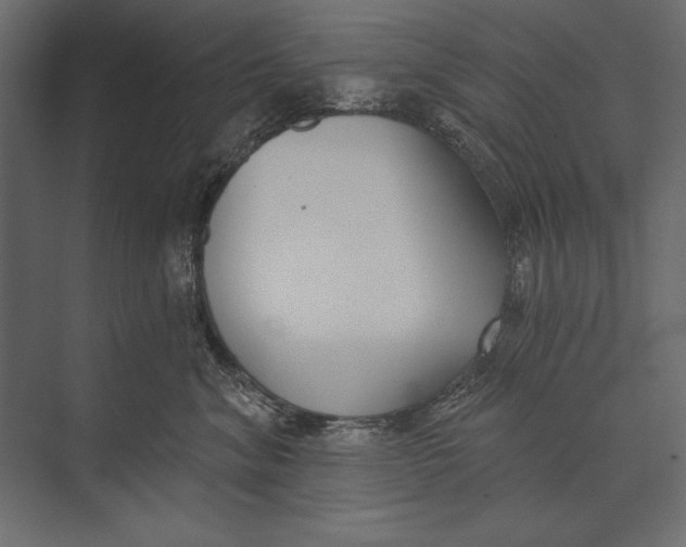 X0000073440620200608181214