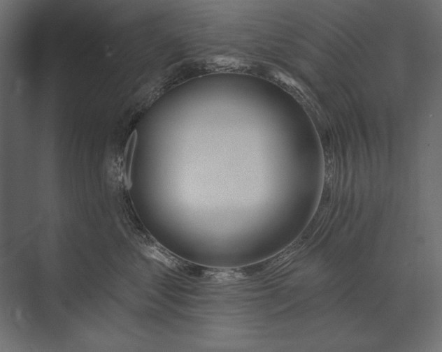X0000073440621200608181214