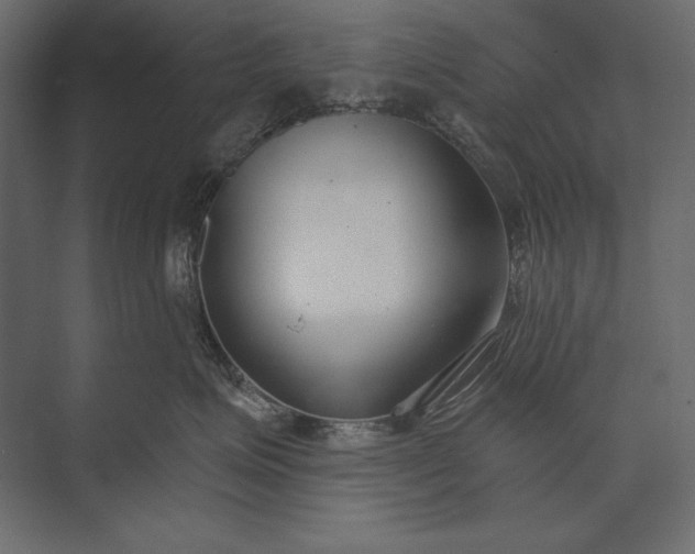 X0000073440623200608181214