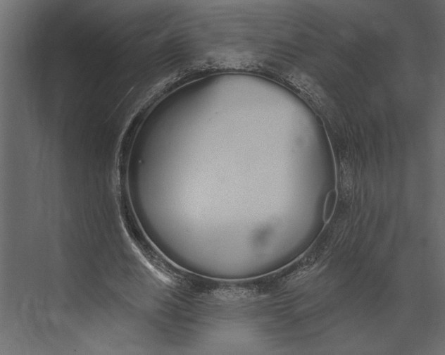 X0000073440630200608181213