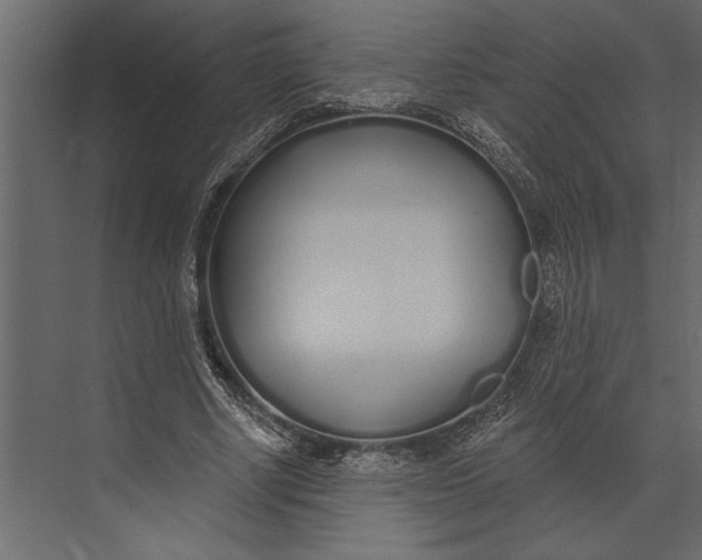 X0000073440634200608181214