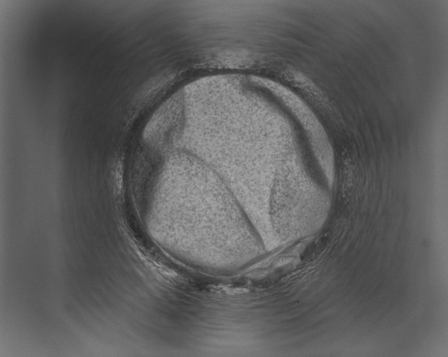 X0000073440640200608181214