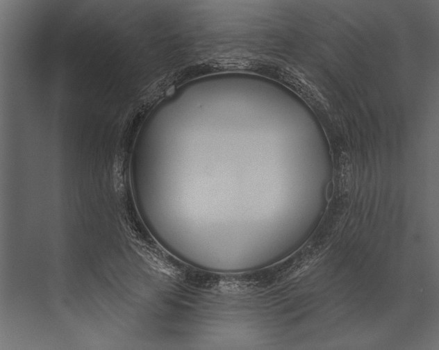 X0000073440641200608181214