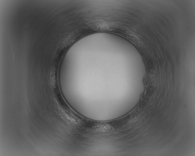 X0000073440642200608181214