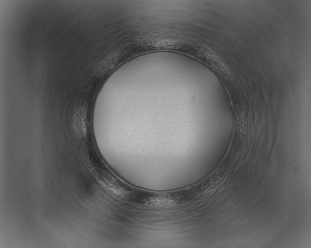 X0000073440644200608181214