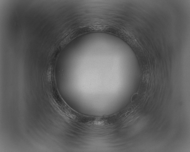 X0000073440647200608181214