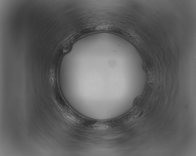 X0000073440648200608181214