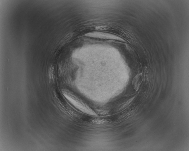 X0000073440650200608181214