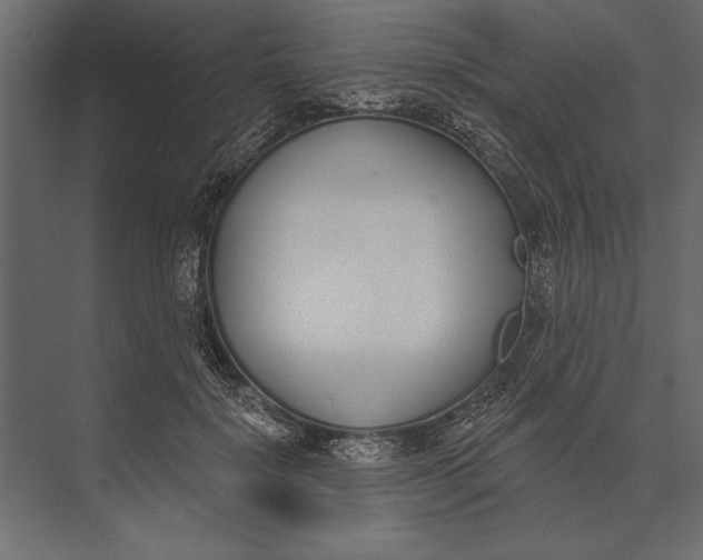X0000073440652200608181214
