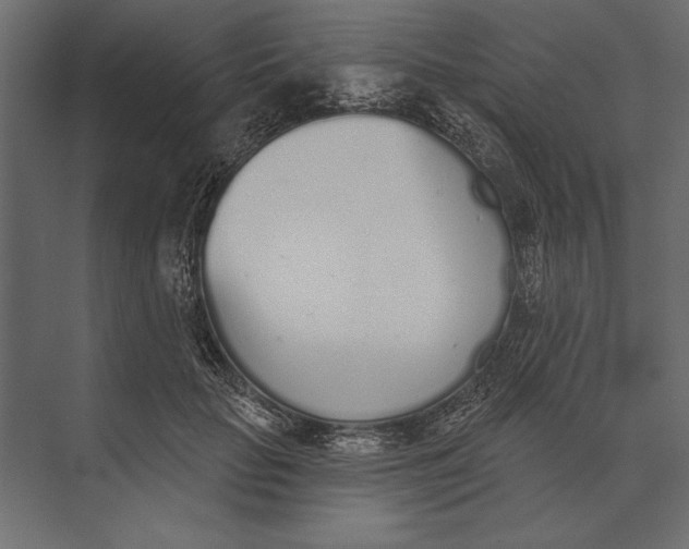 X0000073440653200608181214