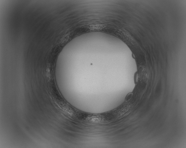 X0000073440655200608181214