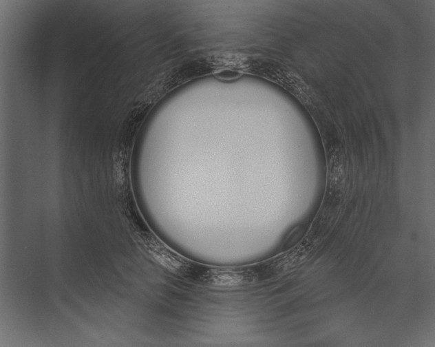 X0000073440658200608181214