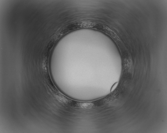 X0000073440663200608181214
