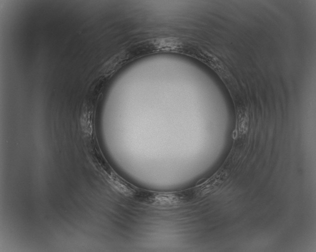 X0000073440666200608181214