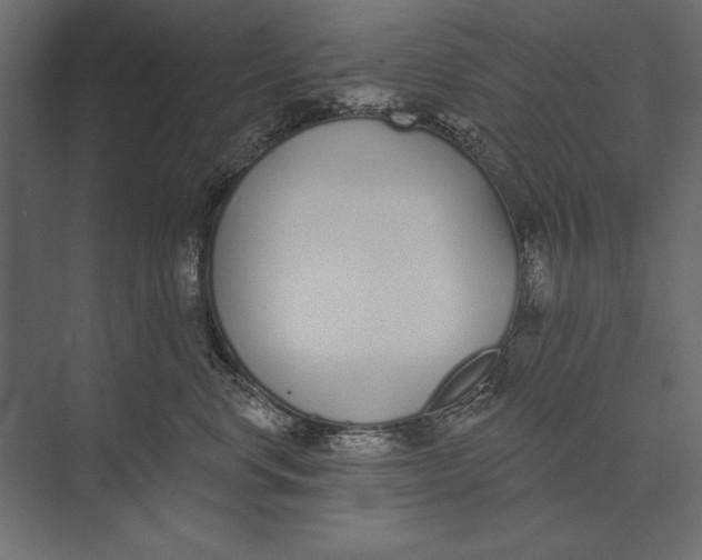 X0000073440668200608181214