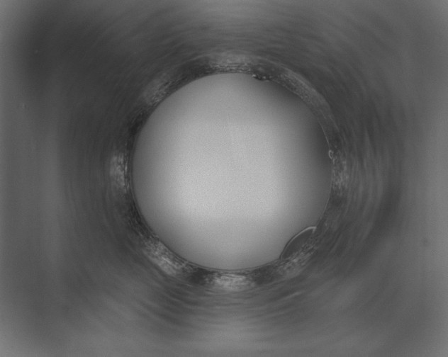X0000073440669200608181214