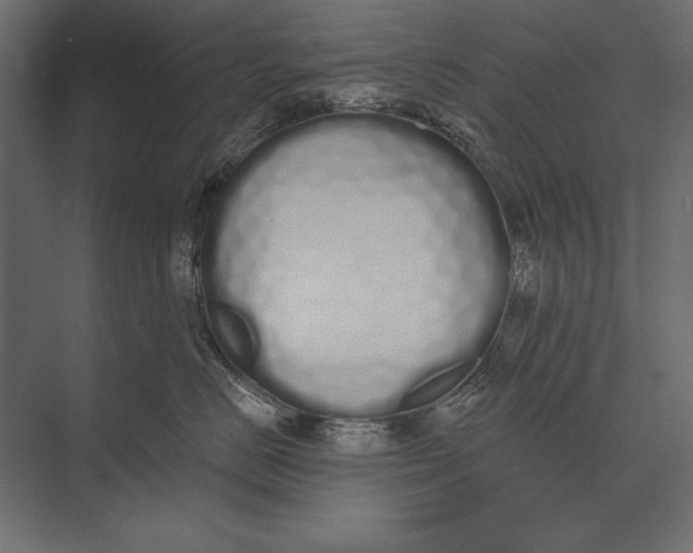 X0000073440670200608181214