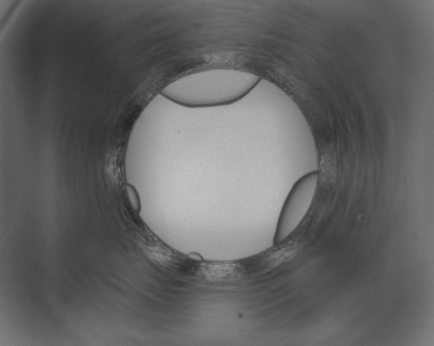 X0000073440671200608181214