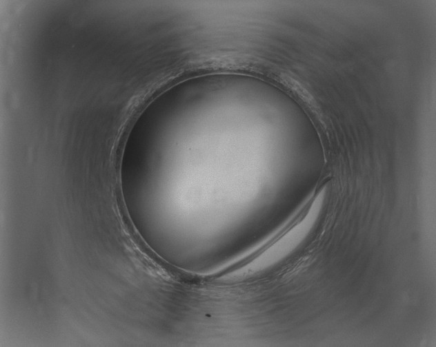 X0000073440673200608181213